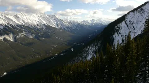 Aerial view over pine trees– BANFF Video stock 22159772