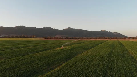 Aerial view over pivot irrigation system in agricultural field. 動画素材 126348568