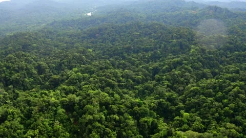 Aerial view over rainforest canopy while raining, a nature background Stock Footage 165848252