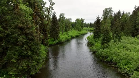 Aerial View Over Remote River | Yakutat Alaska Wilderness Drone 库存影片 331500209