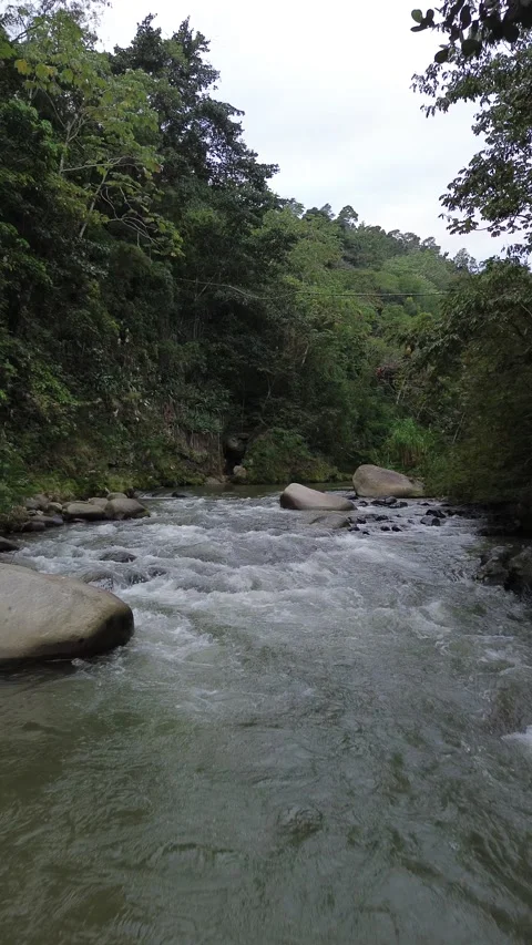 Aerial View over a River Video stock 304459807