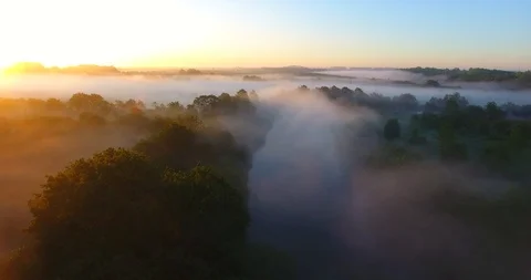 Aerial view over the river, forest in early morning fog, back movement 13 Stock Footage 108835459