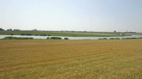 Aerial view over river next to wheat field at countryside. Stock Footage 62964075