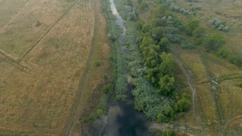 Aerial view over the river stream. Flying over the marshy area. 스톡 동영상 92052187
