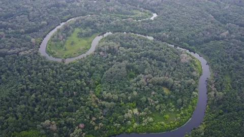 Aerial view over the river which is on the green forest. Video stock 160456670