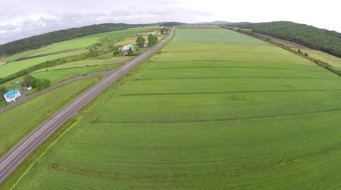 Aerial view over road between fields in Gaspe Peninsula, Canada 動画素材 53098914