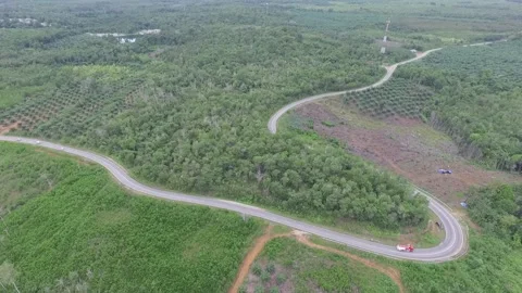 Aerial View Over Road Going Through Forest Lanscape Stock-Footage 208937658