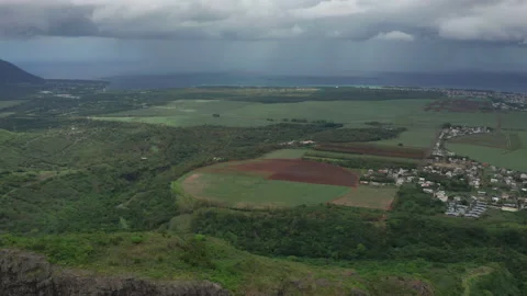 Aerial view over round fields of sugarcane on the island of Mauritius Stock Footage 172261262