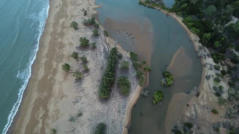 Aerial view over sandy beach landscape with small vegetation dunes Stock Footage 284218071