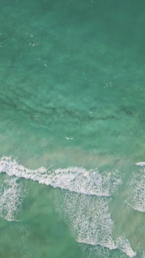 Aerial view over seaweed lined turquoise shoreline Stock Footage 345682366