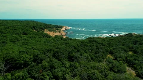 Aerial view over a small bay with a wild beach, located in the forest, Paraskeva 스톡 동영상 229415470