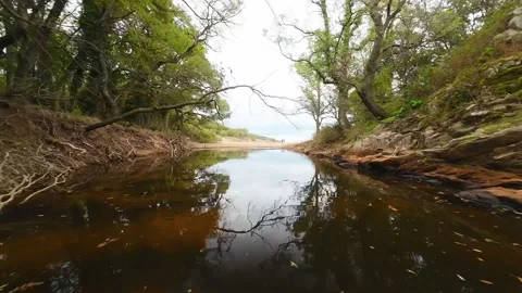 Aerial view over a small bay with a wild beach, located in the forest, Paraskeva Stock Footage 288034708