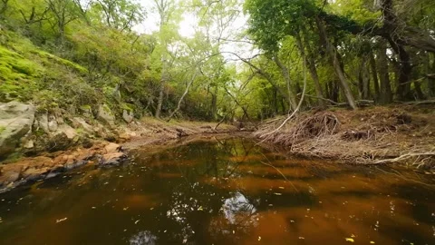 Aerial view over a small bay with a wild beach, located in the forest, Paraskeva Stock Footage 288034723