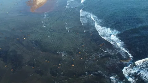 Aerial view over a small peninsula with vegetation and calm sea. Stock Footage 280940898
