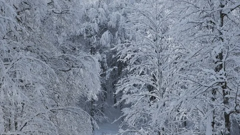 Aerial view over snowy mountain ridge valley with clouds, cable car lifting. Vidéo 101537880