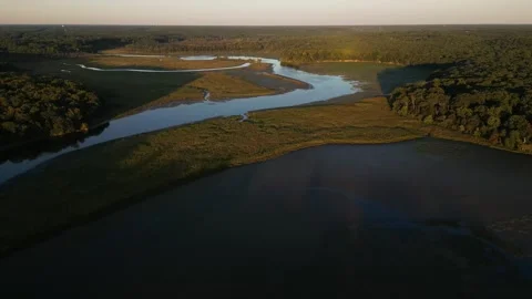 Aerial view over the tidal marshes of the Potomac River Stock Footage 345299732