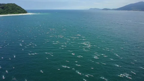 Aerial view over the Travessia da Fuga das Ilhas swimming race, in sunny Stock Footage 231342508