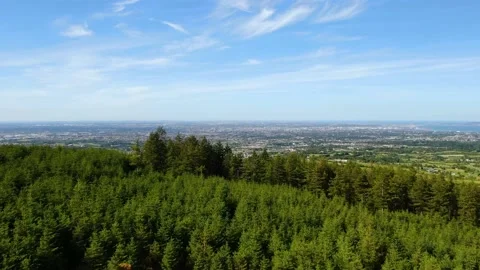 Aerial view over trees and Dublin city revealed Stock Footage 133365106