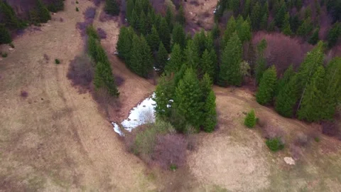 Aerial view over trees and meadows in spring Carpathian nature Stock Footage 181985891