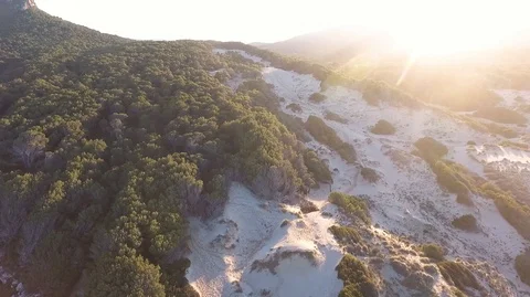Aerial view over vast forest and tree line Stock Footage 101565425