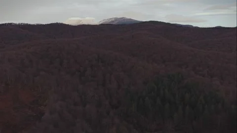 Aerial view over the vast forest surrounding the Urrunaga Reservoir, Basque 動画素材 331145982