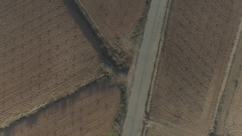Aerial view over vineyards Stock Footage 107728616