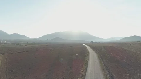 Aerial view over vineyards Stock Footage 107728815