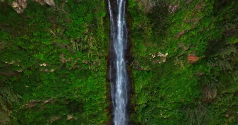 Aerial view of over waterfall in Madeira island. The waterfall cascades over the 스톡 동영상 274490398