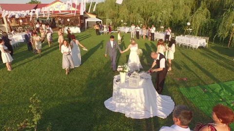 Aerial view over wedding ceremony party - outdoor English style Stock Footage