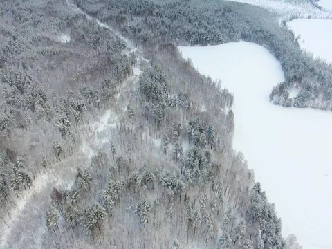Aerial view over winter forest Stock Footage 72624429