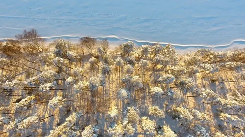 Aerial view over winter forest towards a lake at sunset Stock Footage 103333776