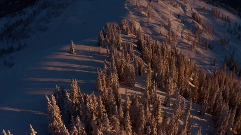 Aerial view over a winter pine forest during a winter sunset Stock Footage 102658090