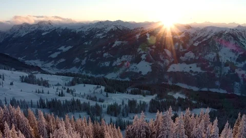 Aerial view over a winter pine forest during a winter sunset Stock Footage 102658797