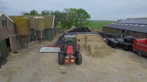 Aerial view over working farm, barn and grain silo. Herd of cows, Netherlands Stock Footage 84970086