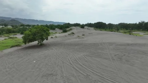 Aerial view of overgrown sand dunes during the rainy season. Stock Footage 233238853