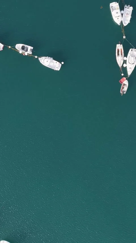 Aerial view of an overhead view of multiple boats and yachts moored in the clear Stock Footage 346663149