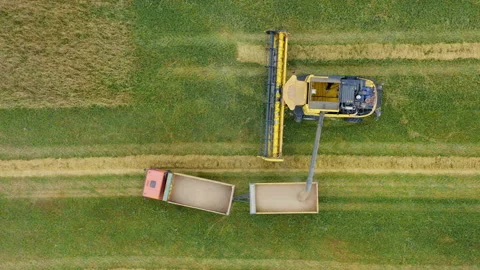 Aerial view. Overloading grain from combine harvesters into grain truck in field Stock Footage 157746055