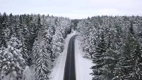 Aerial view overlooking a road, in middle of snow covered trees and snowy forest Stock Footage 223417471