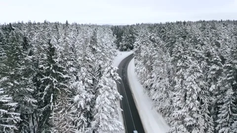 Aerial view overlooking a road, in middle of snow covered trees and snowy forest Stock Footage 223417472