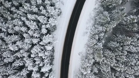 Aerial view overlooking a road, in middle of snow covered trees and snowy forest Stock Footage 223417489