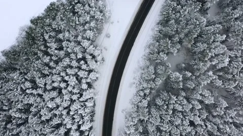 Aerial view overlooking a road, in middle of snow covered trees and snowy forest Stock Footage 223417490