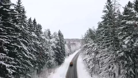 Aerial view overlooking a road, in middle of snow covered trees and snowy forest Stock Footage 223417491