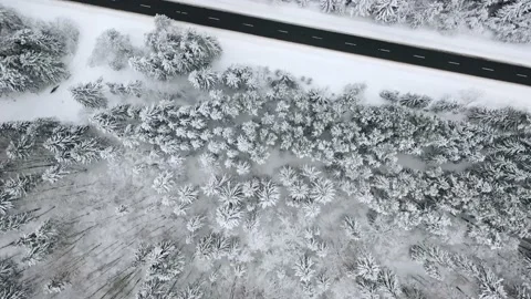 Aerial view overlooking a road, in middle of snow covered trees and snowy forest Stock Footage 223417565