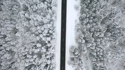 Aerial view overlooking a road, in middle of snow covered trees and snowy forest Stock Footage 223417658