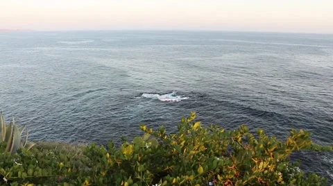 Aerial View of Pacific Ocean Stock Footage 49437644