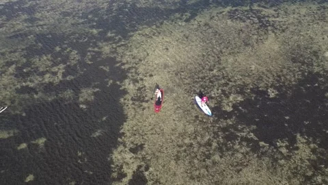Aerial View of Paddle Boarders Gliding Over Shallow Florida Water Stock-Footage 345837769