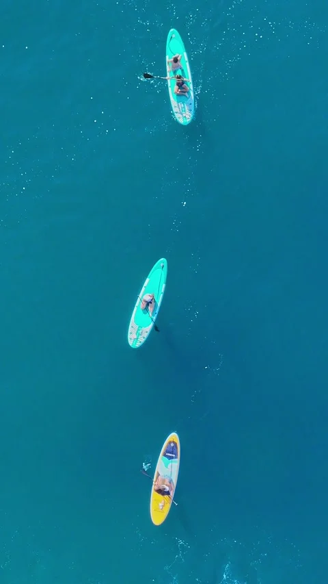 Aerial view of paddling boards, three people paddling in green sea Stock Footage 345996423