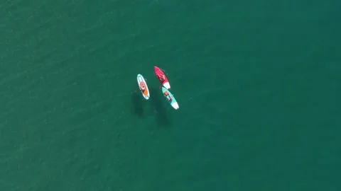Aerial view of paddling boards, two people paddling in green sea Stock Footage 346167685