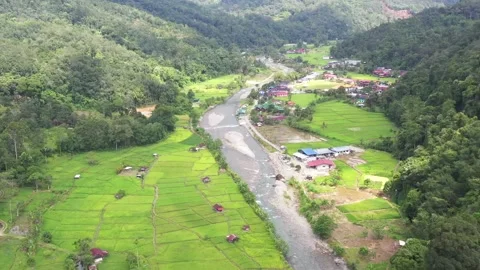 Aerial view of paddy field Stock Footage 131204744