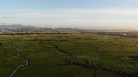 Aerial view of paddy fields and blue sky in Kepala Batas, Penang Stock Footage 228338976